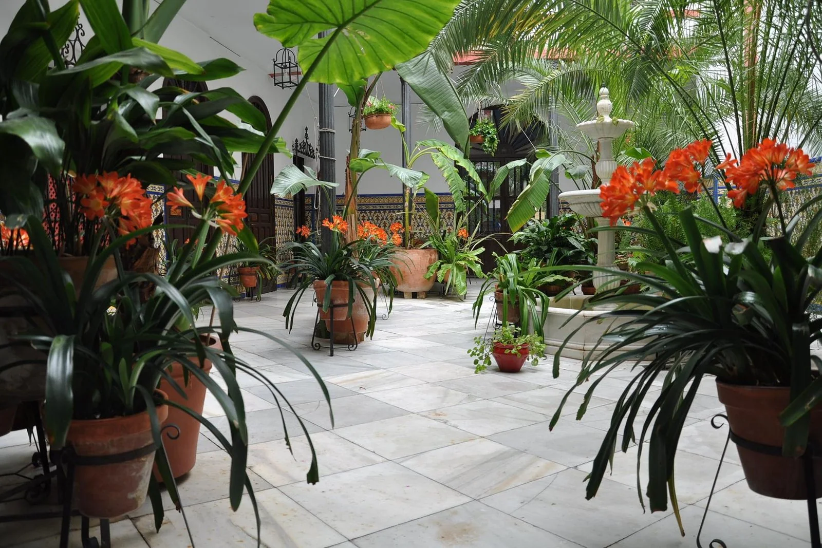 Rincones llenos de flores, historia y encanto para pasear tranquilamente por Córdoba.